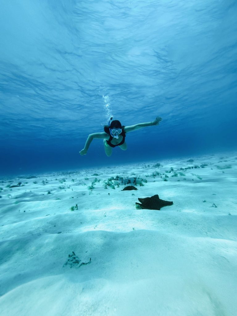 Les activités à faire sur les plages de la Riviera Maya