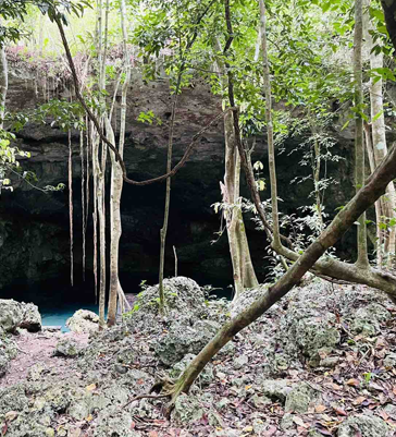 Excursion écologique en fatbike électrique Excursion écologique en fatbike électrique