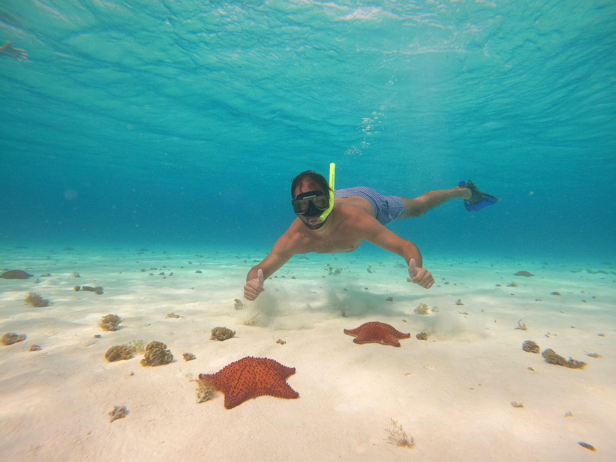 La Magie des Étoiles de Mer de Cozumel au Mexique La Magie des Étoiles de Mer de Cozumel au Mexique