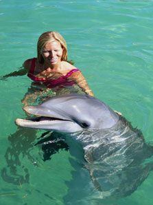 Les Dauphins de Cozumel Les Dauphins de Cozumel