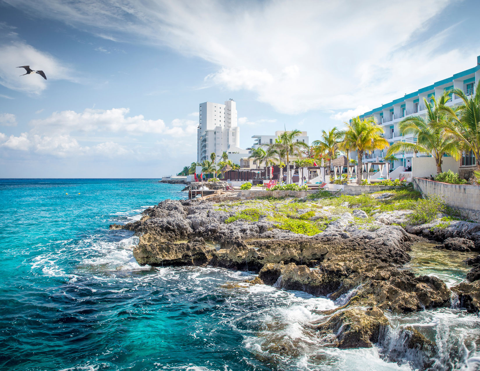 Cozumel Aujourd'hui Cozumel Aujourd'hui