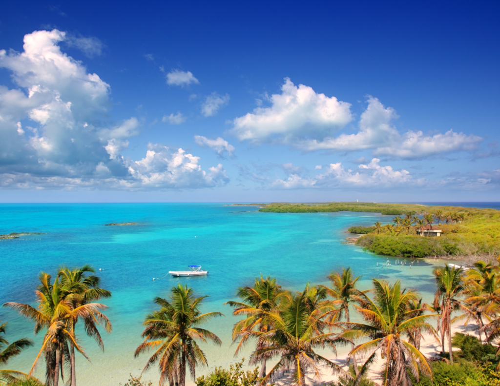 Isla Contoy : Le guide ultime 2024