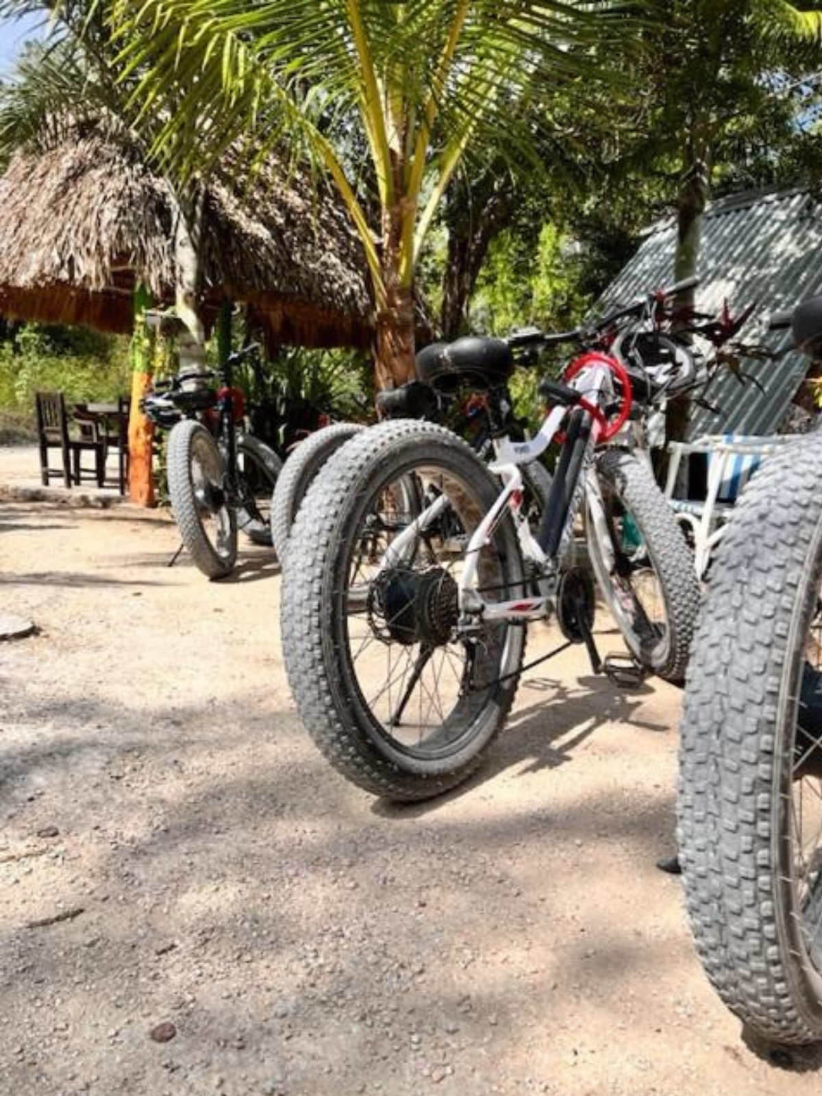 Avantages de L’utilisation des Vélos Électriques Fatbike pour L'écotourisme Avantages de L’utilisation des Vélos Électriques Fatbike pour L'écotourisme