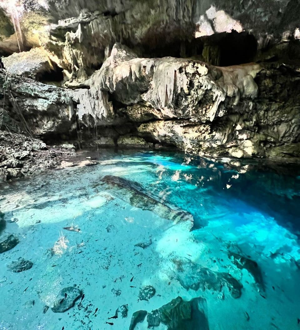 Excursion jungle au Mexique Excursion jungle au Mexique